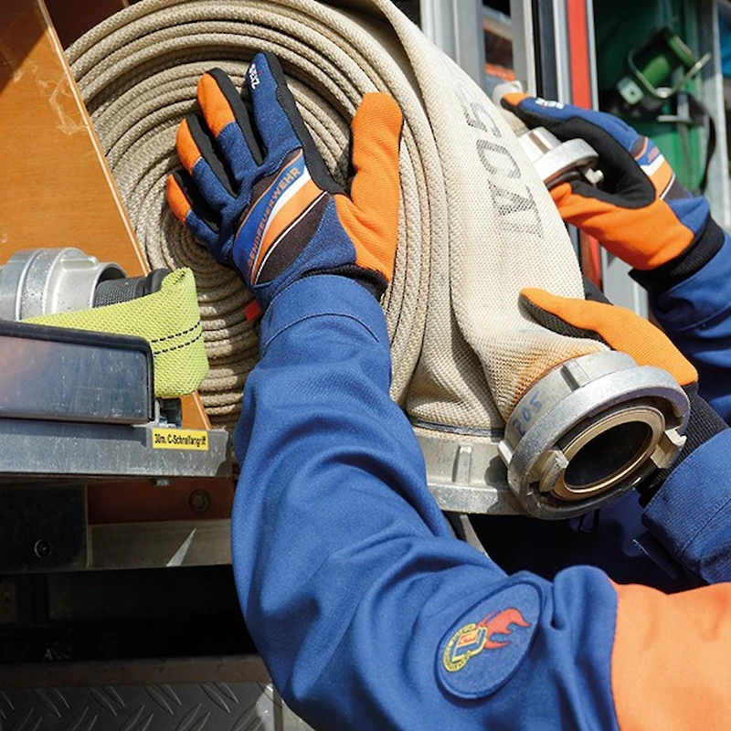 COMPANION 3 COMPANION – Bild 3