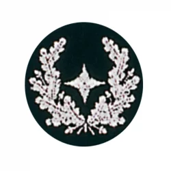 Lehrgangsabzeichen Gruppenführung