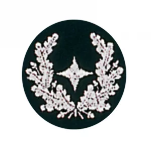 Lehrgangsabzeichen Gruppenführung