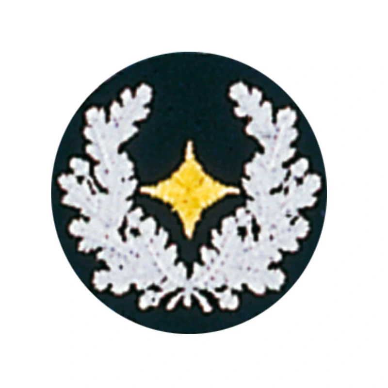 Lehrgangsabzeichen Zugführung