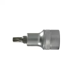 Steckschlüsseleinsatz 1/2", Torx T20-T60 | CrV-Stahl