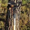 omnisfera-portugisische-hacke-ohne-stiel-9.jpg Omnisfera IBERUS Entaster (ohne Stiel)
